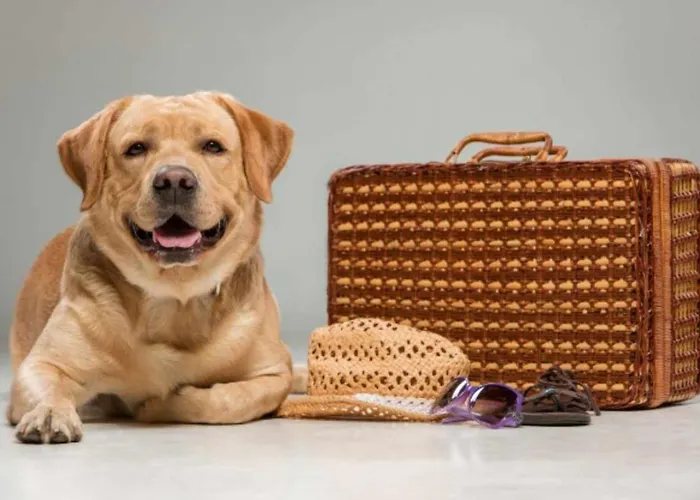 Casa Hortensias Naguar Villanueva (Asturias)