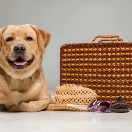 Casa Hortensias Naguar Villanueva (Asturias)